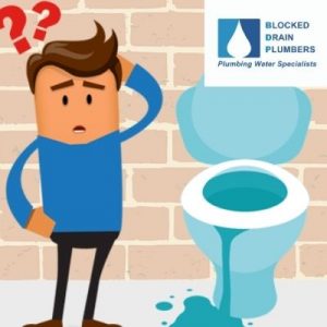 Unblocking-Toilet-Blockage