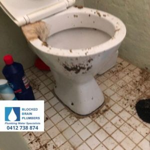 Clogged toilet drain that was unblocked Melbourne area
